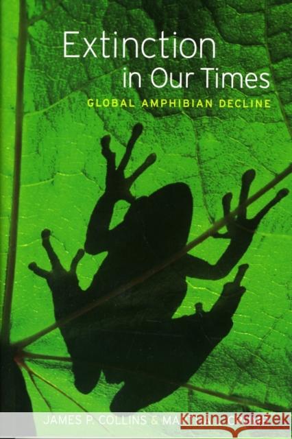 Extinction in Our Times: Global Amphibian Decline Collins, James P. 9780195316940 Oxford University Press, USA - książka