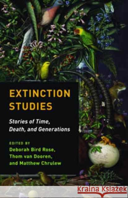 Extinction Studies: Stories of Time, Death, and Generations Van Dooren, Thom; Rose, Deborah B.; Chrulew, Matthew 9780231178808 John Wiley & Sons - książka