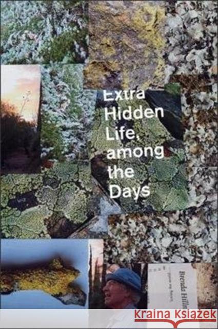 Extra Hidden Life, Among the Days Brenda Hillman 9780819578051 Wesleyan - książka