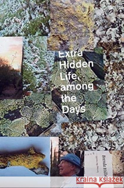 Extra Hidden Life, Among the Days Brenda Hillman 9780819578945 Wesleyan University Press - książka