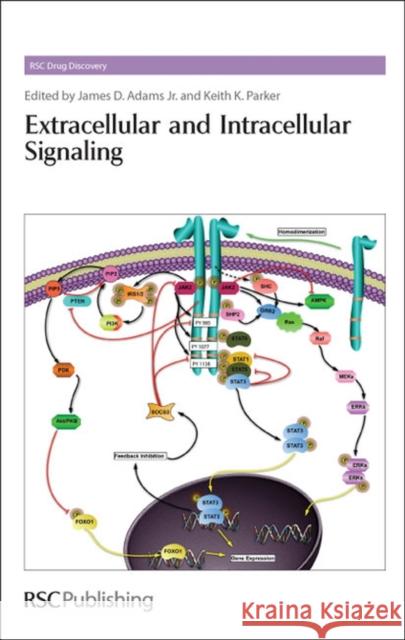 Extracellular and Intracellular Signaling James D. Adams Keith Parker David E. Thurston 9781849731607 Royal Society of Chemistry - książka