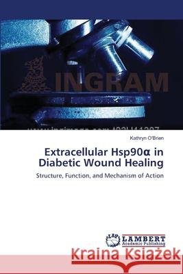 Extracellular Hsp90α in Diabetic Wound Healing O'Brien, Kathryn 9783659634543 LAP Lambert Academic Publishing - książka