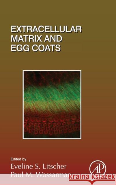 Extracellular Matrix and Egg Coats: Volume 130 Litscher, Eveline 9780128098028 Academic Press - książka