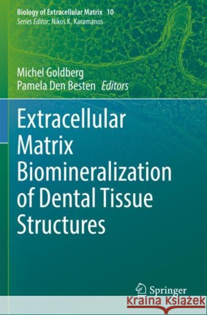 Extracellular Matrix Biomineralization of Dental Tissue Structures  9783030762858 Springer International Publishing - książka