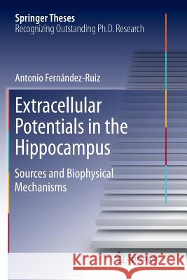 Extracellular Potentials in the Hippocampus: Sources and Biophysical Mechanisms Fernández Ruiz, Antonio 9783319822495 Springer - książka