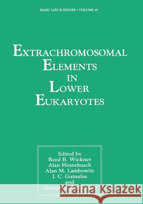 Extrachromosomal Elements in Lower Eukaryotes Reed Wickner 9781468452532 Springer - książka