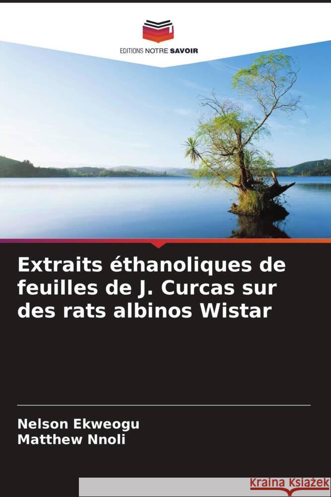 Extraits ?thanoliques de feuilles de J. Curcas sur des rats albinos Wistar Nelson Ekweogu Matthew Nnoli 9786208590413 Editions Notre Savoir - książka
