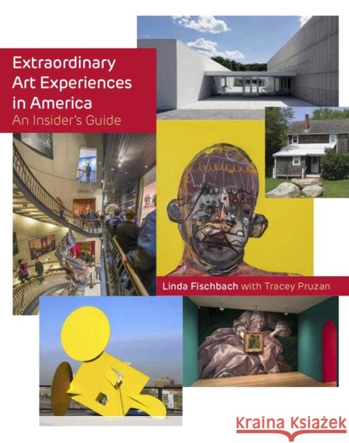 Extraordinary Art Experiences in America: An Insider's Guide Linda Fischbach 9781943876259 Glitterati Inc - książka