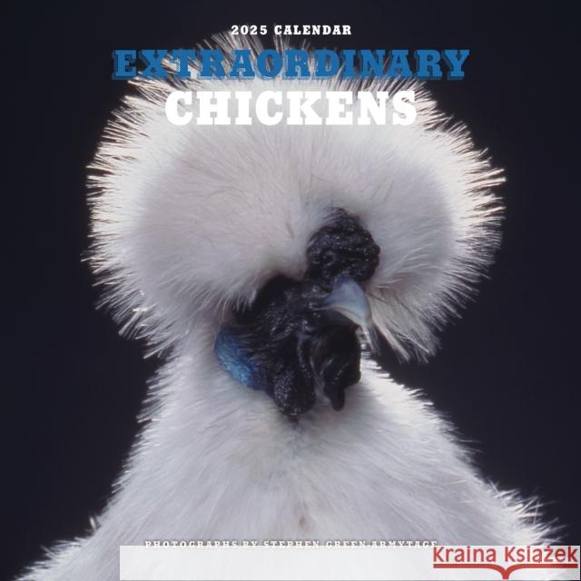 Extraordinary Chickens 2025 Wall Calendar Stephen Green-Armytage 9781419774027 Harry N Abrams Inc. - książka