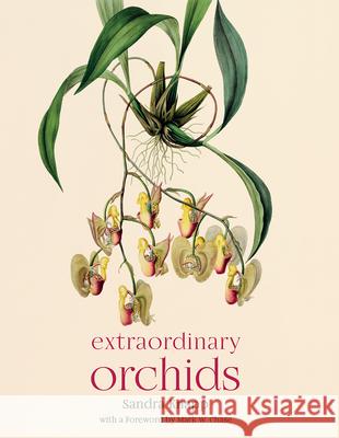 Extraordinary Orchids Sandra Knapp Mark W. Chase 9780226779676 University of Chicago Press - książka