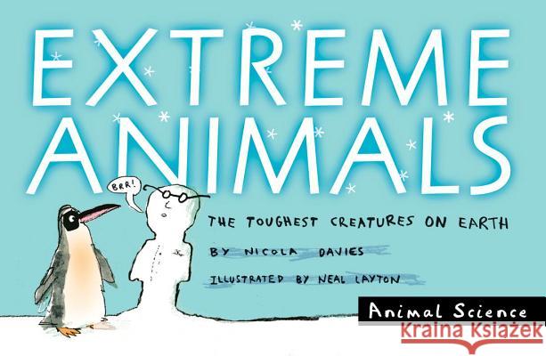 Extreme Animals: The Toughest Creatures on Earth Nicola Davies Neal Layton 9780763641276 Candlewick Press (MA) - książka