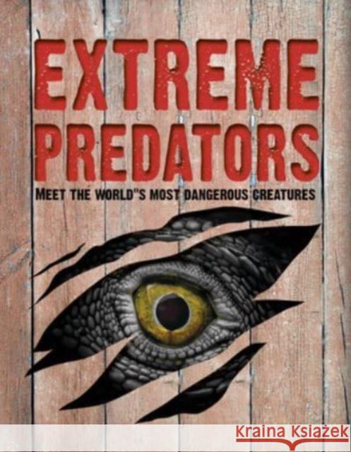 Extreme Predators: Meet the World's Most Dangerous Animals John Allan 9781916598614 Hungry Tomato Ltd - książka