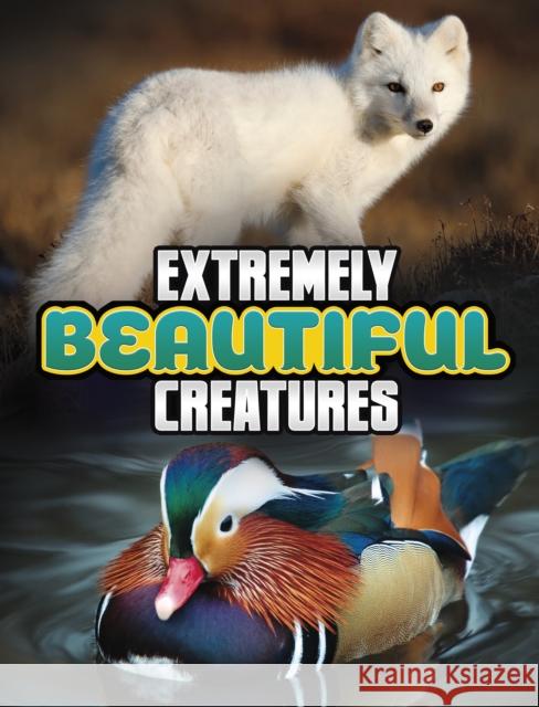 Extremely Beautiful Creatures Megan Cooley Peterson 9781398244801 Capstone Global Library Ltd - książka