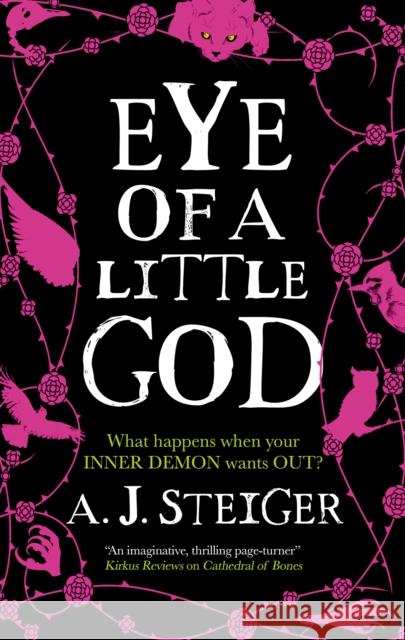 Eye of a Little God A.J. Steiger 9781448312146 Canongate Books - książka