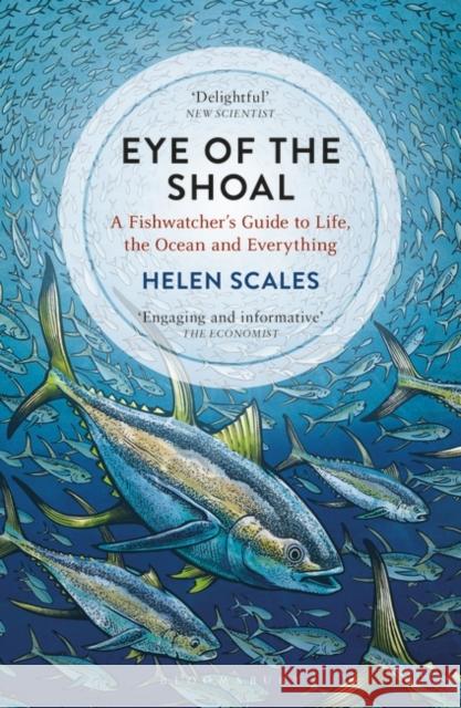 Eye of the Shoal: A Fishwatcher's Guide to Life, the Ocean and Everything Helen Scales 9781472936820 Bloomsbury SIGMA - książka