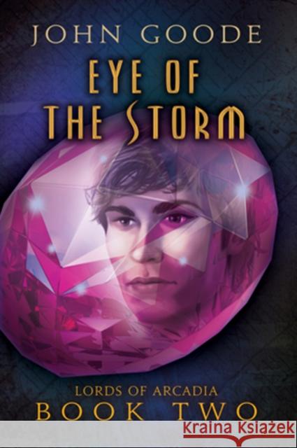 Eye of the Storm John Goode 9781623800543 Harmony Ink Press - książka