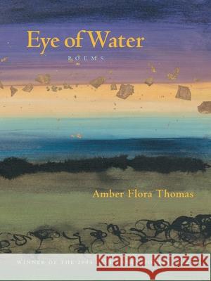 Eye of Water Amber Flora Thomas 9780822958932 University of Pittsburgh Press - książka