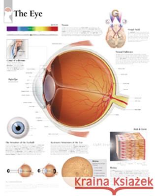 Eye Paper Poster Scientific Publishing 9781930633582 Scientific Publishing Limited - książka