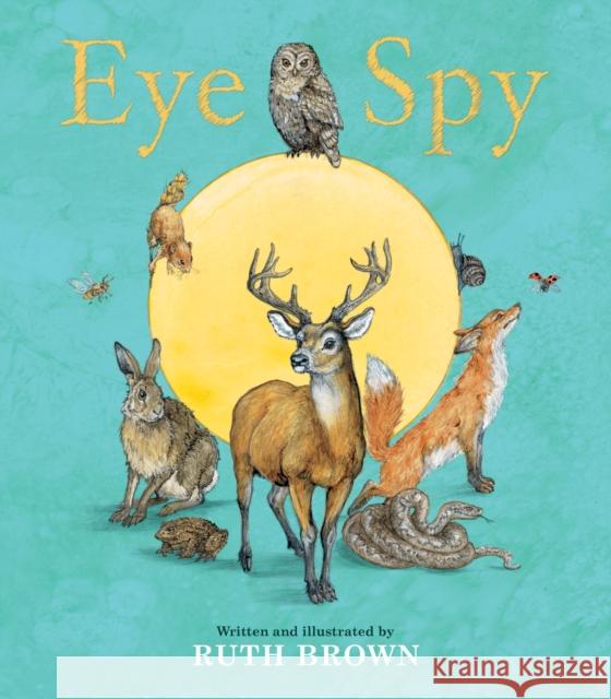 Eye Spy Ruth Brown 9781912650903 Scallywag Press - książka