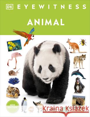 Eyewitness Animal DK 9780593843826 DK Publishing (Dorling Kindersley) - książka