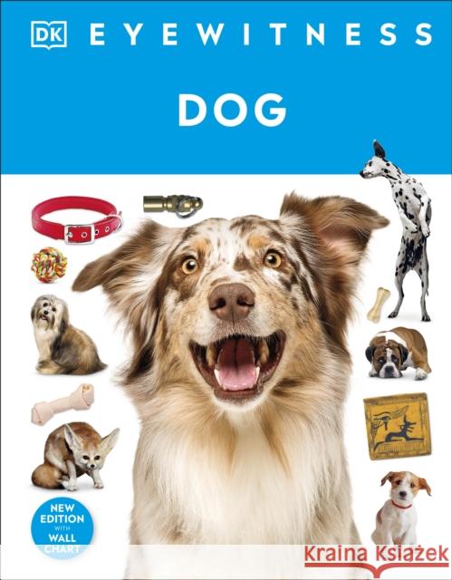 Eyewitness Dog DK 9780241756133 Dorling Kindersley Ltd - książka