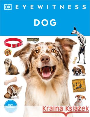 Eyewitness Dog DK 9780593972168 DK Publishing (Dorling Kindersley) - książka
