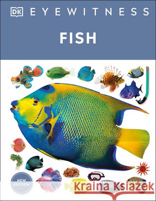 Eyewitness Fish DK 9780744062533 DK Publishing (Dorling Kindersley) - książka