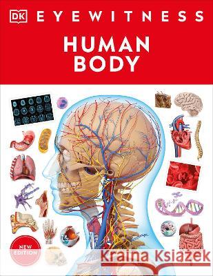 Eyewitness Human Body DK 9780744079913 DK Publishing (Dorling Kindersley) - książka