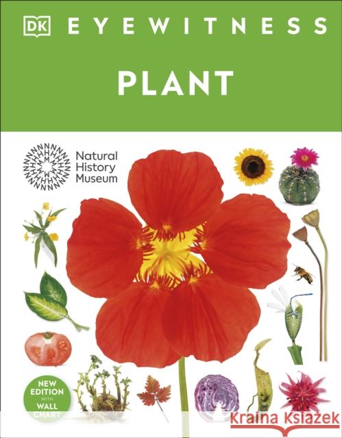 Eyewitness Plant DK 9780241738788 Dorling Kindersley Ltd - książka