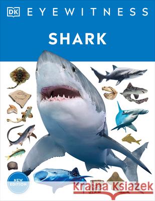 Eyewitness Shark: Dive Into the Fascinating World of Sharks DK 9780744056402 DK Publishing (Dorling Kindersley) - książka