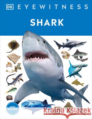 Eyewitness Shark: Dive Into the Fascinating World of Sharks DK 9780744056419 DK Publishing (Dorling Kindersley) - książka