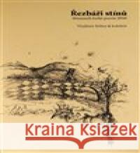 Řezbáři stínů kolektiv 9788087688533  - książka