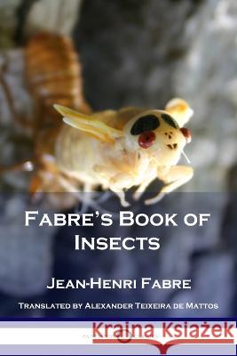 Fabre's Book of Insects Jean Henri Fabre 9781789873405 Pantianos Classics - książka