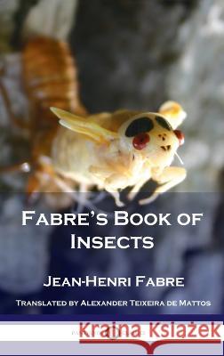 Fabre's Book of Insects Jean Henri Fabre 9781789873979 Pantianos Classics - książka