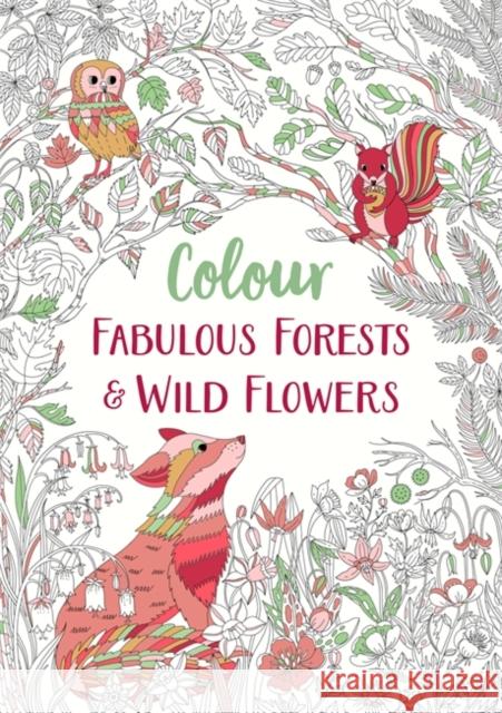 Fabulous Forests and Wild Flowers: An Anti-Stress Colouring Book Michael O'Mara Books 9781789293241 Michael O'Mara Books Ltd - książka