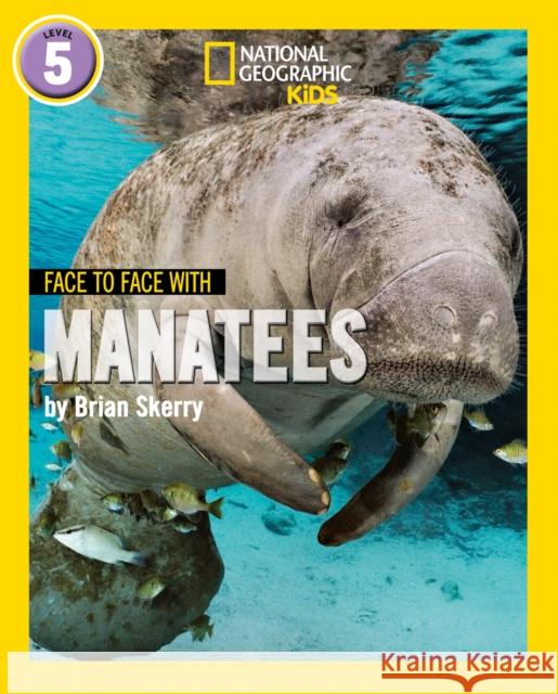 Face to Face with Manatees: Level 5 Brian Skerry 9780008358051 HarperCollins Publishers - książka