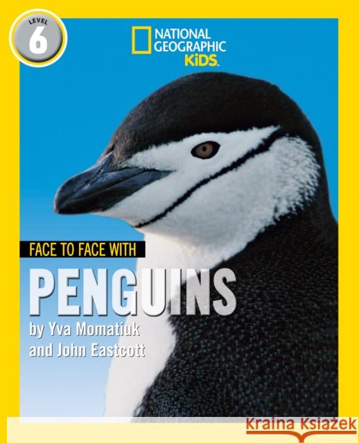 Face to Face with Penguins: Level 6 John Eastcott 9780008358174 HarperCollins Publishers - książka