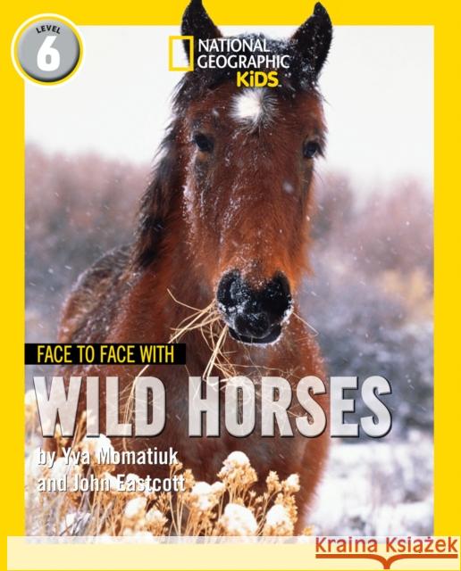 Face to Face with Wild Horses: Level 6 John Eastcott 9780008358136 HarperCollins Publishers - książka