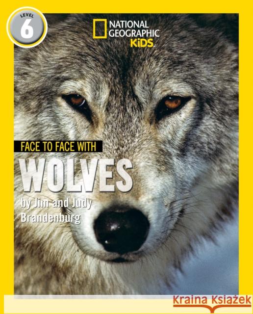 Face to Face with Wolves: Level 6 Judy Brandenburg 9780008358198 HarperCollins Publishers - książka