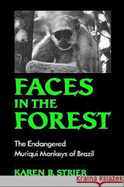 Faces in the Forest: The Endangered Muriqui Monkeys of Brazil Strier, Karen B. 9780195063394 Oxford University Press - książka