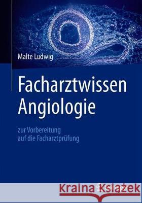 Facharztwissen Angiologie: Zur Vorbereitung Auf Die Facharztprüfung Ludwig, Malte 9783662584507 Springer - książka