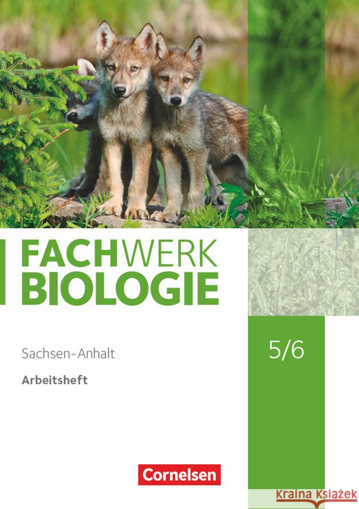 Fachwerk Biologie - Sachsen-Anhalt 2020 - 5./6. Schuljahr Arbeitsheft  9783060139071 Cornelsen Verlag - książka