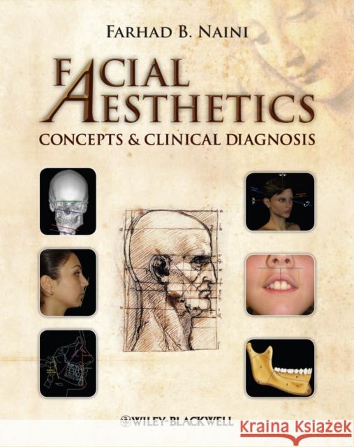 Facial Aesthetics: Concepts & Clinical Diagnosis Naini, Farhad B. 9781405181921  - książka