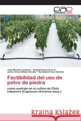 Factibilidad del uso de polvo de piedra Morales Jiménez, Juan 9786200405258 Editorial Académica Española - książka