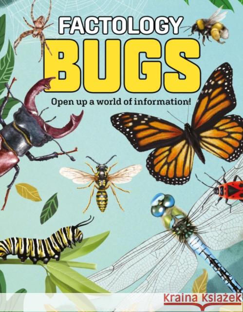 Factology: Bugs: Open Up a World of Information!  9781787081321 Button Books - książka