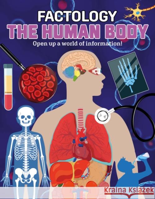 Factology: The Human Body: Open Up a World of Information! Button Books 9781787081345 Button Books - książka