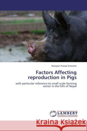 Factors Affecting reproduction in Pigs Shrestha, Narayan Prasad 9783848408597 LAP Lambert Academic Publishing - książka