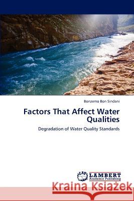 Factors That Affect Water Qualities Bonzemo Bon Sindani 9783845424064 LAP Lambert Academic Publishing - książka