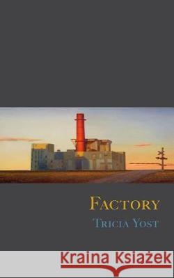 Factory Tricia Yost 9780998414607 Radial Books, LLC - książka