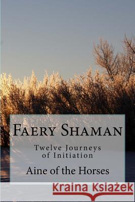 Faery Shaman: Twelve Journeys of Initiation Aine of the Horses 9781530215898 Createspace Independent Publishing Platform - książka